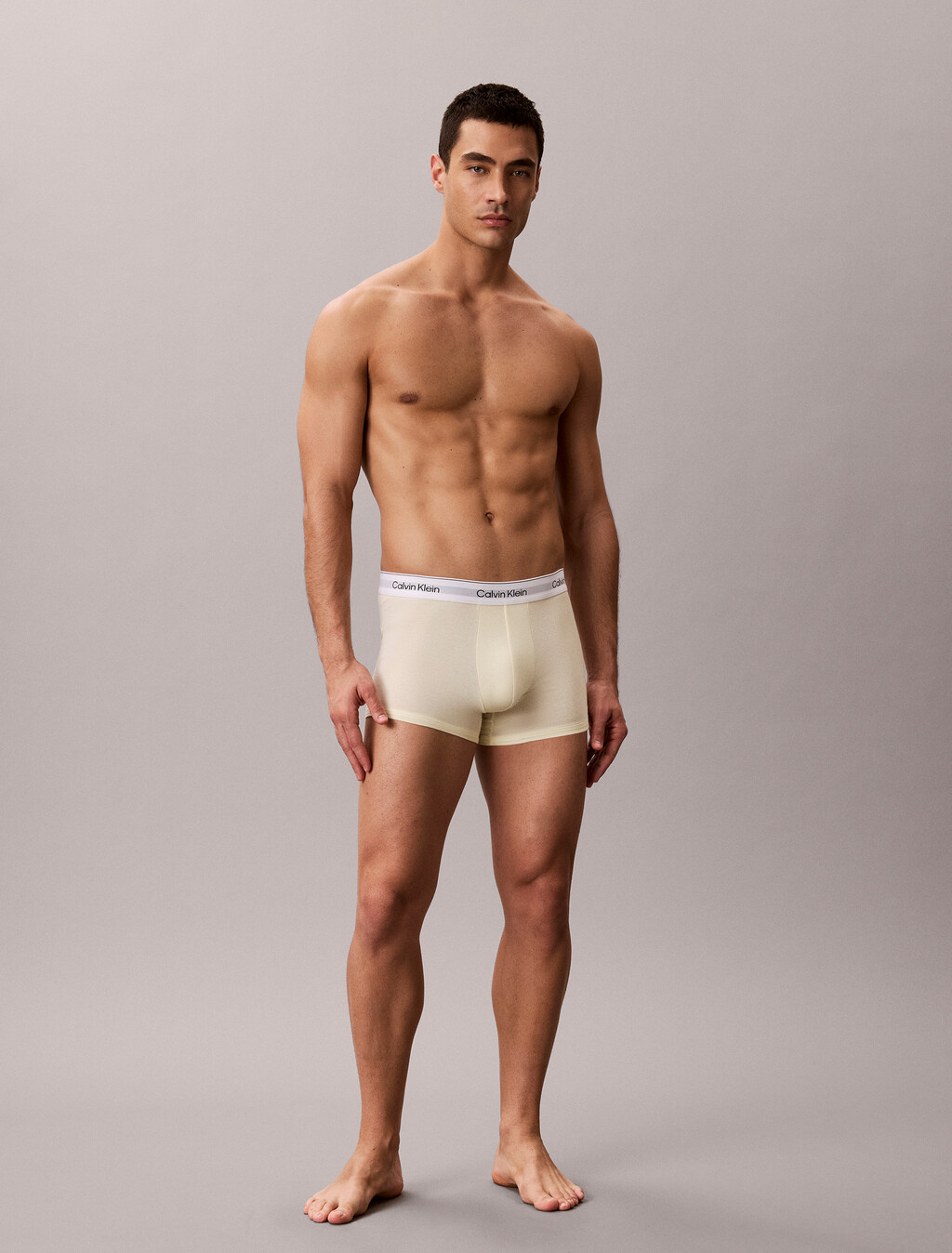 Icon Cotton Stretch Trunks 2er-Pack